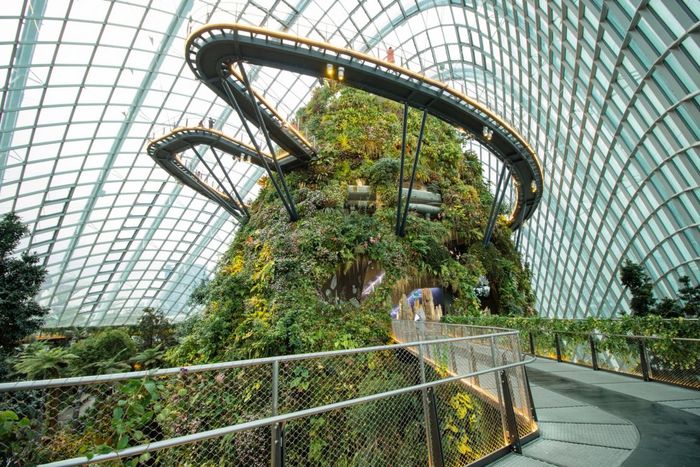 The Cloud Forest at Gardens by the Bay.