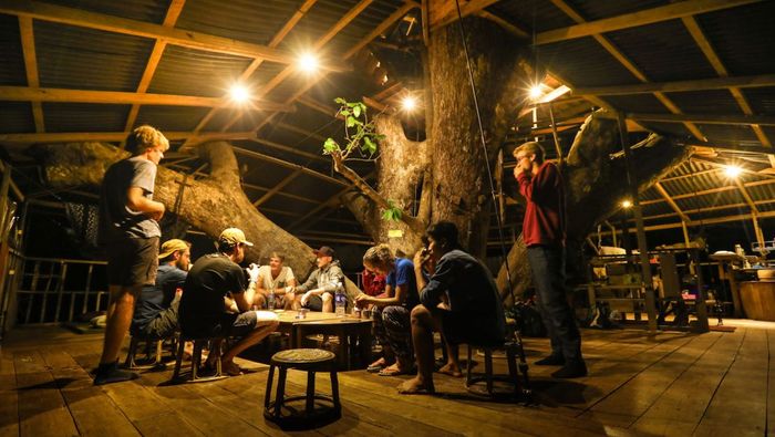Each of the eight treehouses is fitted with electric lights.