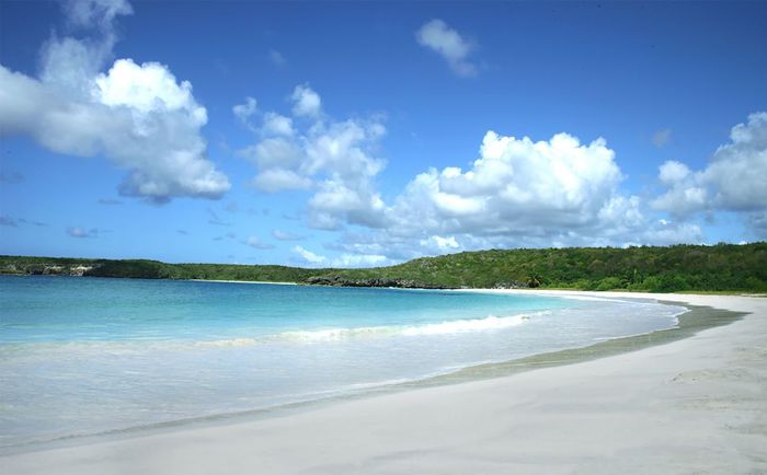 Puerto Rico plans to begin reopening to visitors in the next few weeks.
