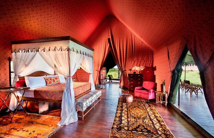 Jack's Camp is a secluded and luxurious haven, recently renovated for an unforgettable experience.