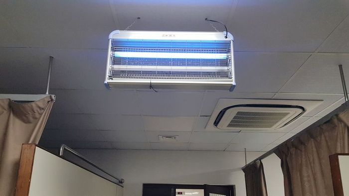 A fluorescent light designed to attract flies and mosquitoes, hanging from the ceiling.