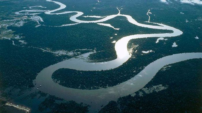 Amazon River