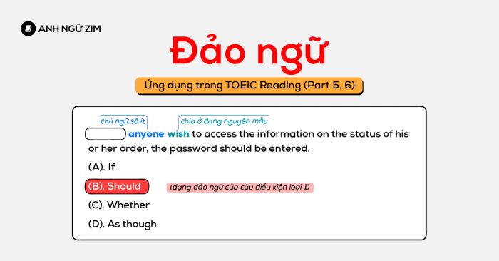 cach ung dung dao ngu trong toeic reading part 5 6