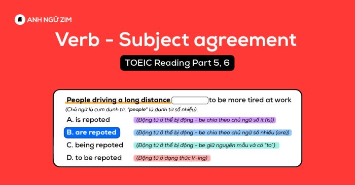 sự hợp nhất giữa Chủ ngữ và Động từ trong toeic reading phần 5 6 phần 1