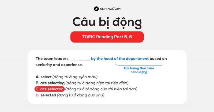 Câu bị động trong bài thi TOEIC và cách trả lời câu hỏi Reading Part 56