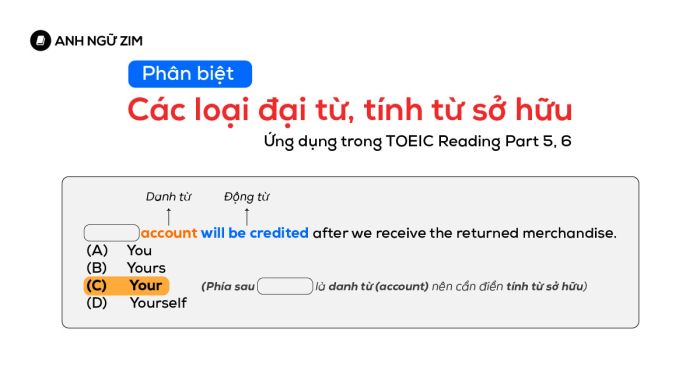 toeic reading part 5 6 pronouns distinguishing and application