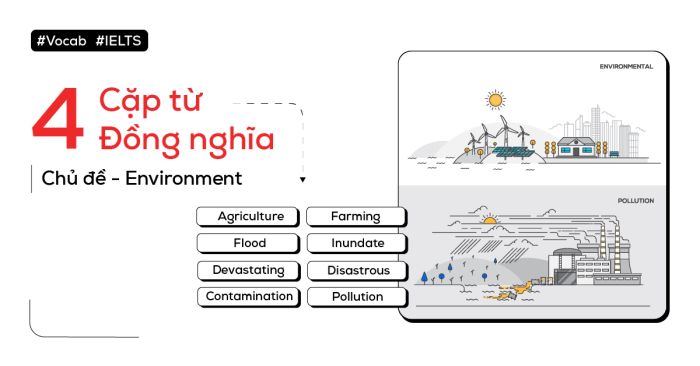 Phân biệt 4 cặp từ đồng nghĩa với chủ đề môi trường trong IELTS Writing Task 2