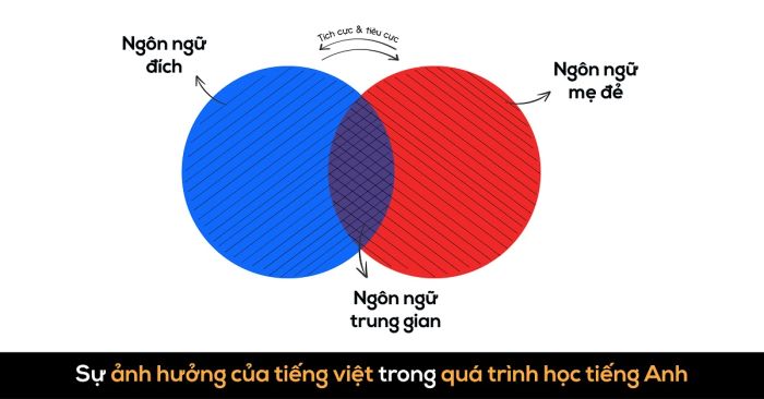 su anh huong cua tieng viet trong qua trinh hoc tieng anh p2