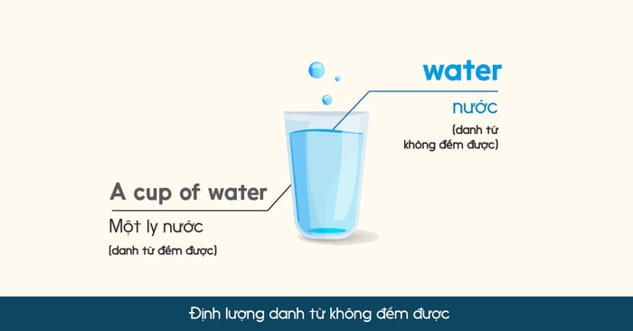 cách xác định lượng danh từ tiếng anh không đếm được và những danh từ bất quy tắc phổ biến