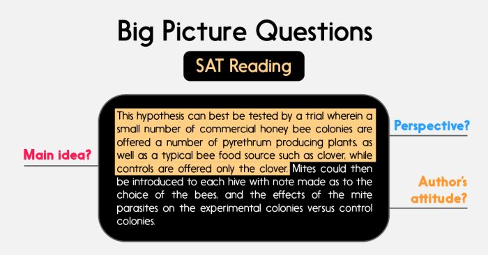 Chiến thuật trả lời các loại câu hỏi trong SAT Reading phần 2
