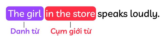 cum-gioi-tu-dong-vai-tro-nhu-tinh-tu-trong-ielts