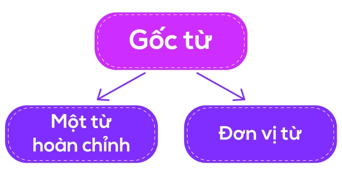 gốc từ là gì