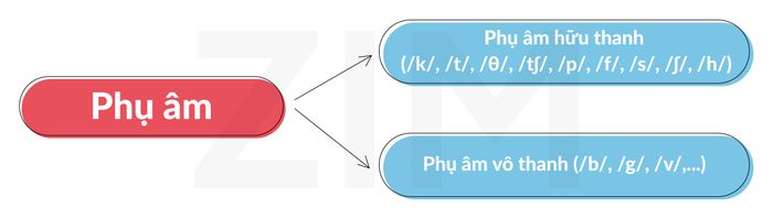 phụ âm vô thanh và phụ âm hữu thanh