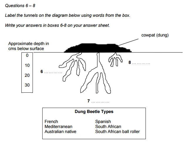 ielts-reading-dang-cau-hoi-diagram-labelling-de-bai-1