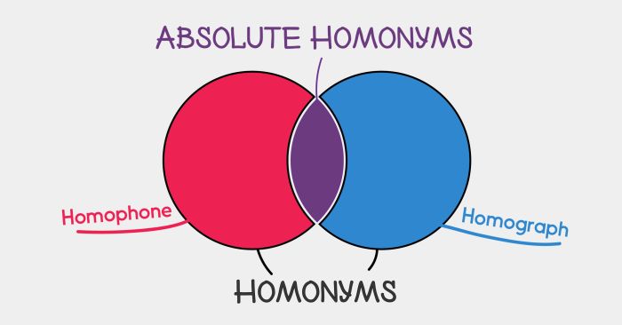 Homonyms là gì và những homonyms phổ biến trong tiếng Anh và cách phân biệt – Phần 3