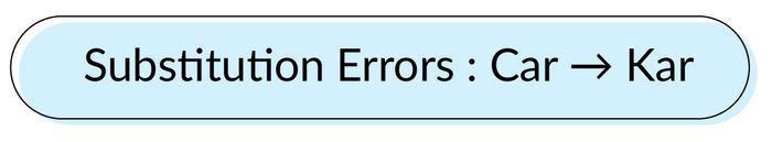 loi-chinh-ta-mistakes-in-substituting-words