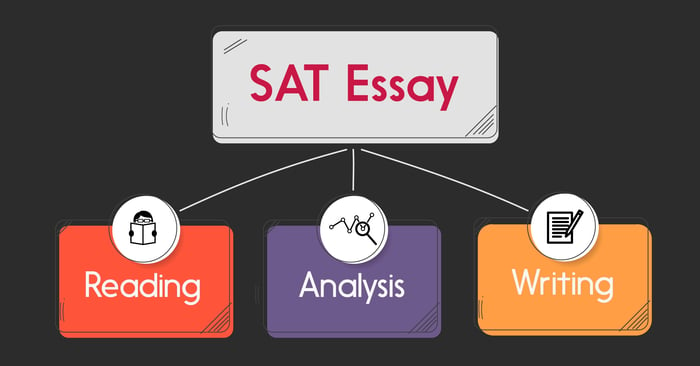 sat essay la gi huong dan va nhung dieu can luu y