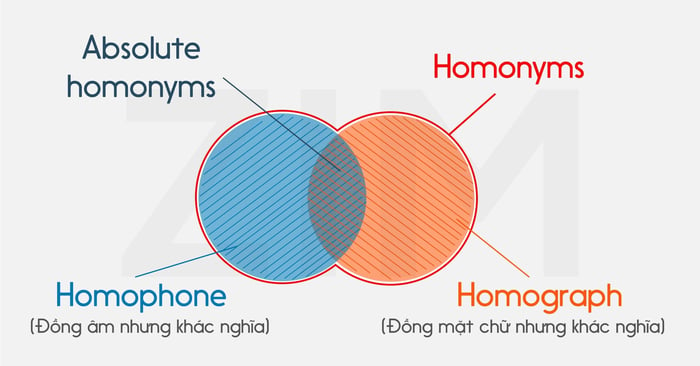 tu dong am homonyms la gi va cac tu dong am thuong gap trong tieng anh va cach phan biet phan 2