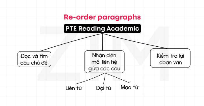 Cách giải quyết các dạng bài Reading trong kỳ thi PTE Academic – Phần 3 dạng sắp xếp đoạn văn