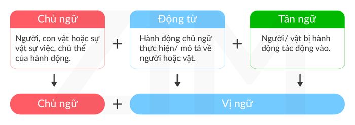 Giới thiệu về vấn đề của double verbs