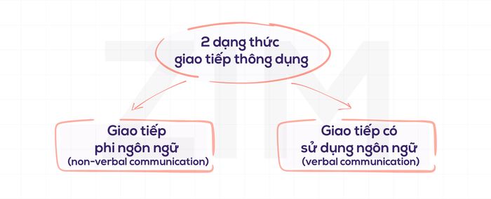 7cs-of-communication-2-dang-thuc-thong-tin