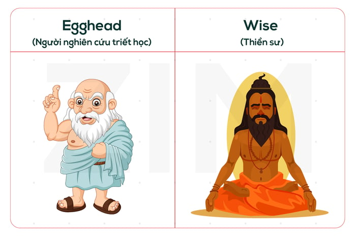 egghead-and-wise