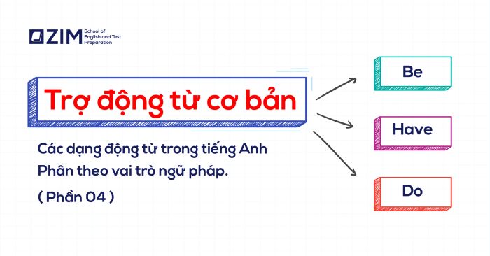 trợ động từ auxiliary verbs là gì? 3 trợ động từ cơ bản cách sử dụng