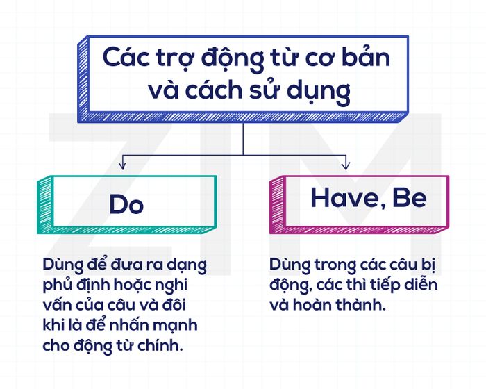 Basic auxiliary verbs