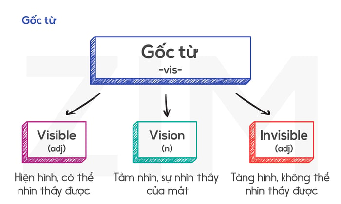 gốc từ vis