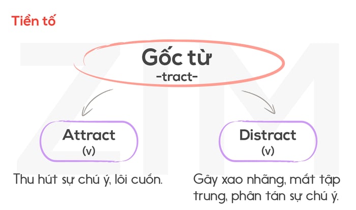 tiền tố và gốc từ