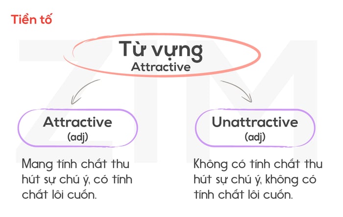 gốc từ và hậu tố