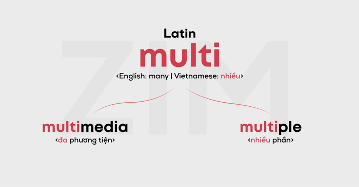 delve into the origin of words and auxiliary elements in Greek and Latin and apply them to English learning methods