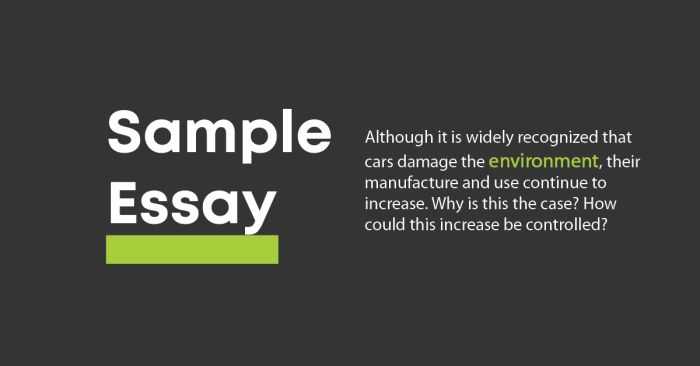 Solving the IELTS Writing test and sample essays for the environment topic on the exam date 06082020