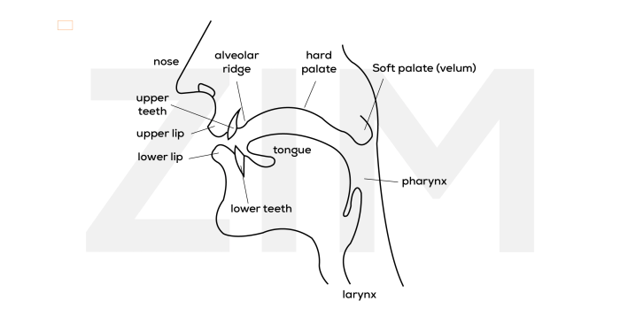 master your pronunciation part 1 understand phonetics and transcriptions of 1 word