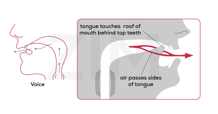 pronunciation and lateral pronunciation