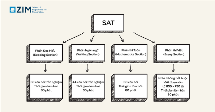 cau-truc-bai-thi-sat