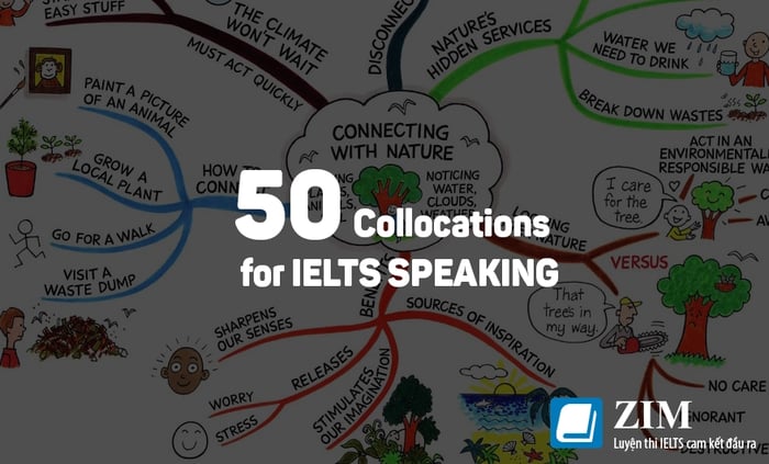 những cụm từ bạn nên biết khi luyện ielts speaking