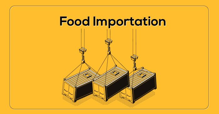 idea for ielts writing task 2 topic food importation with accompanying vocabulary