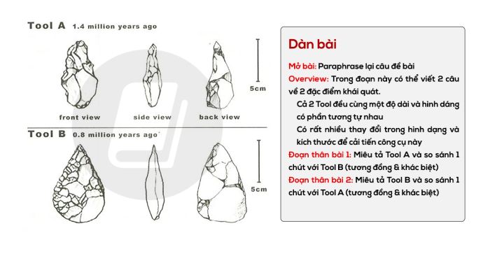 giai de va bai mau ielts writing task 1 la kho phan 5