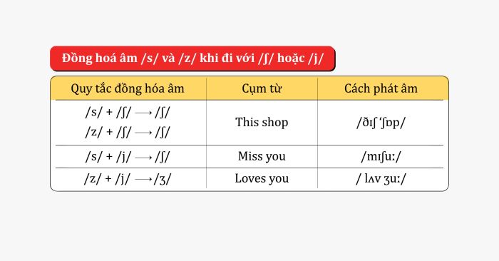 Áp dụng hiện tượng đồng nhất âm (Assimilation) để cải thiện tiêu chí Phát âm trong IELTS Speaking