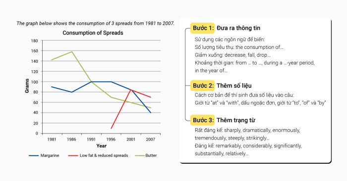 3 bước cơ bản để mô tả biểu đồ đường (Line Graph) trong IELTS Writing Task 1