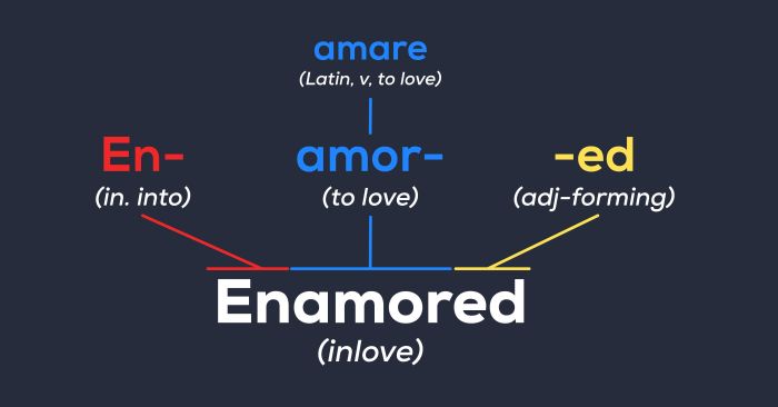 học từ vựng qua gốc từ etymology gốc từ amor và phil