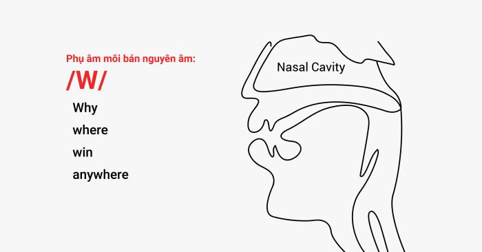 Cách ứng dụng các phụ âm môi (Bilabials) trong bảng IPA vào bài thi Speaking