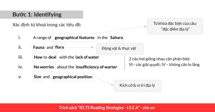 phương pháp làm bài matching headings trong ielts reading 