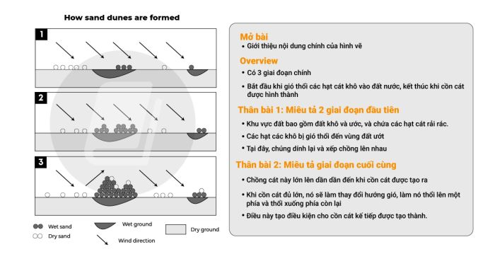 Bài mẫu IELTS Writing Task 1 và Task 2 band 7 đề thi ngày 15/03/2022 [Computer-based]