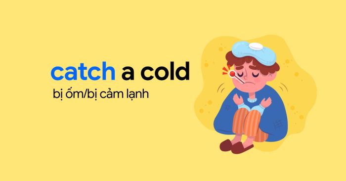 6 collocation với catch phổ biến và bài tập đi kèm có đáp án