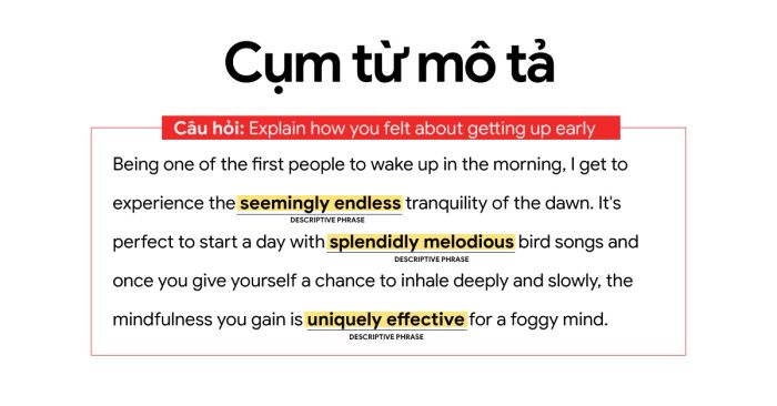 Descriptive phrase là gì? Ứng dụng để câu trả lời IELTS Speaking thêm sinh động