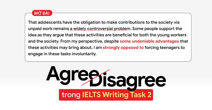 phương pháp viết ielts writing task 2 dạng đề đồng ý hoặc phản đối vừa đồng ý vừa phản đối