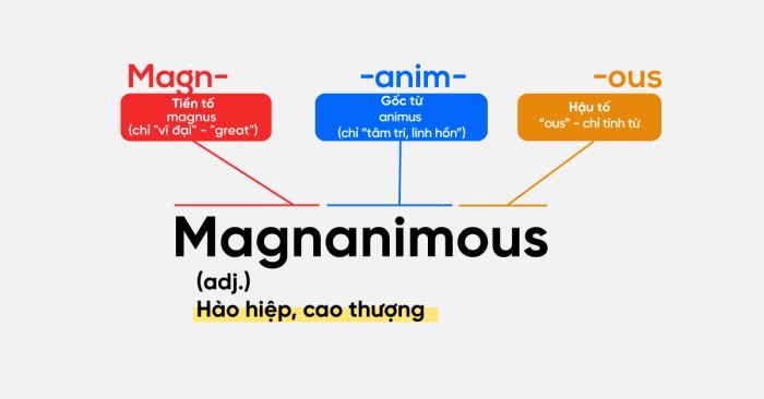 học từ vựng thông qua nguồn gốc từ -anim-