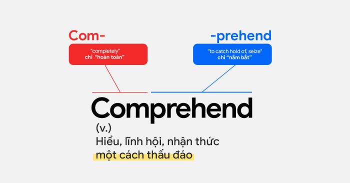 Học từ vựng thông qua gốc từ - com con